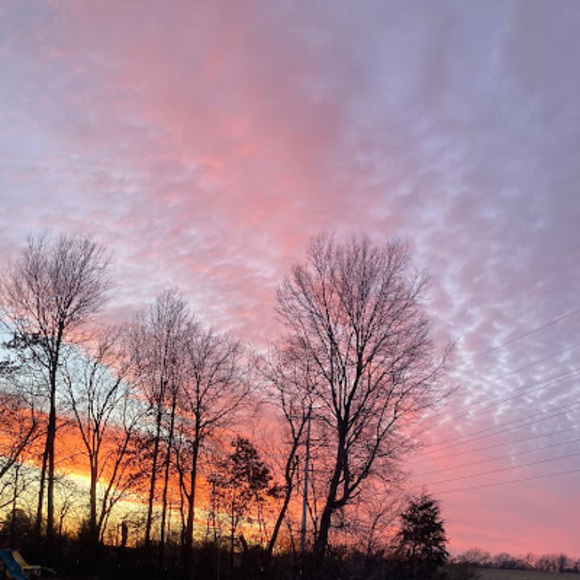 Meet your Posher, Grey - Picture 1 of 1